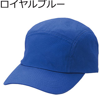 FID-041～049　フィールドCAP