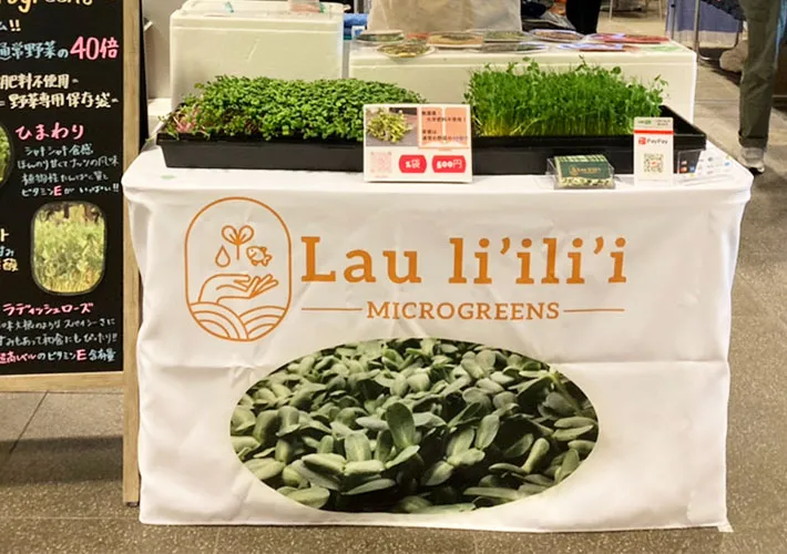 Lau li'ili'i（ラウリリ）様画像1